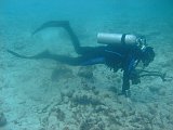 Curacao 04-12 145